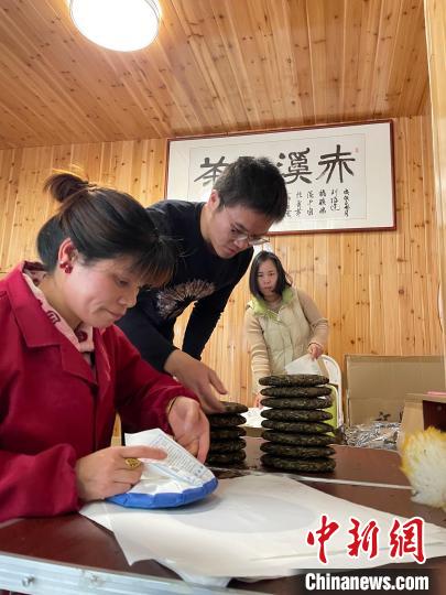 資料圖：杜贏(左二)在整理白茶餅?！×执阂?攝